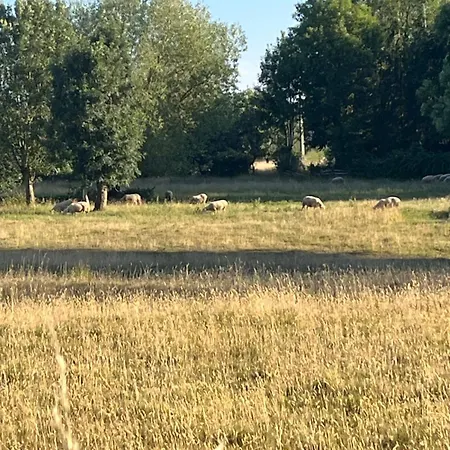 La Lambert - Le Loft Apartman *