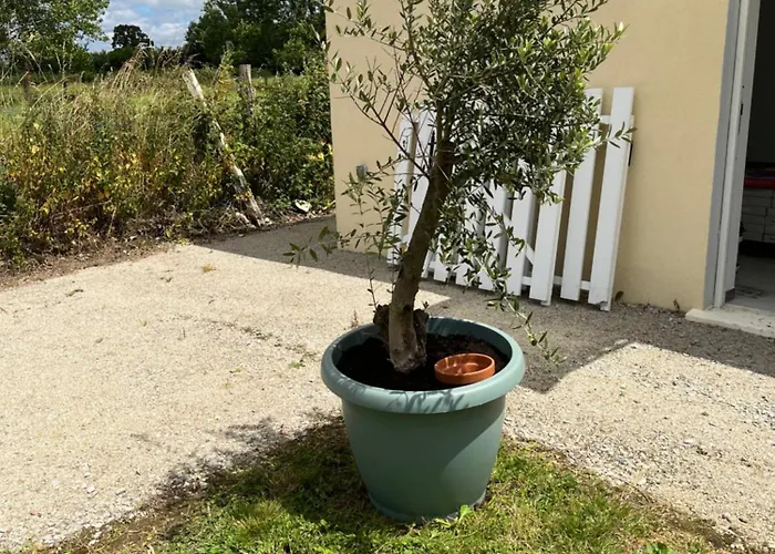 La Lambert - Le Loft La Ferté-Frênel