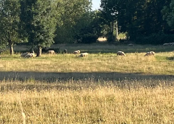 La Lambert - Le Loft Daire *